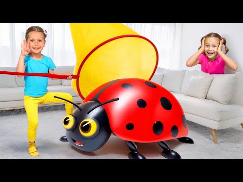 Lass uns die bunten Käfer entdecken und fangen! Ein lustiges Abenteuer