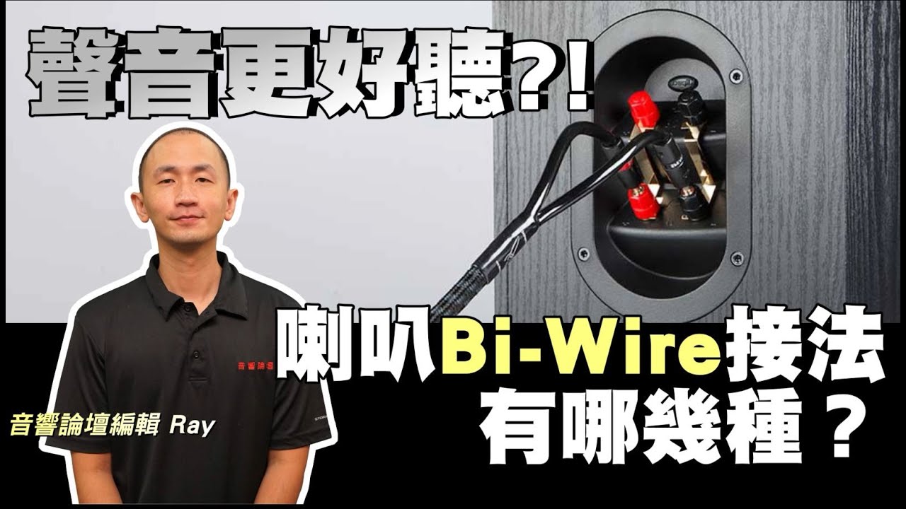 喇叭Bi-Wire接法有哪幾種？各有什麼優缺點？