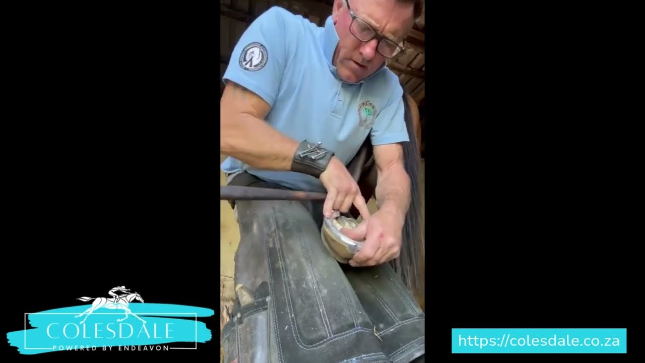 Colesdale - Robbie Miller Farrier