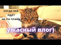 про ремон / день со мной/ потеряла важный документ