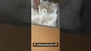 Unbox a Pastel Lesser Cinnamon DH DG Cryptic/Clown male with me 🔥😍 #unboxing #animals #python