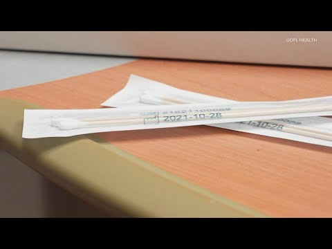 Insider Secrets: How The UofL Knowledge Hub Boosts GPAs