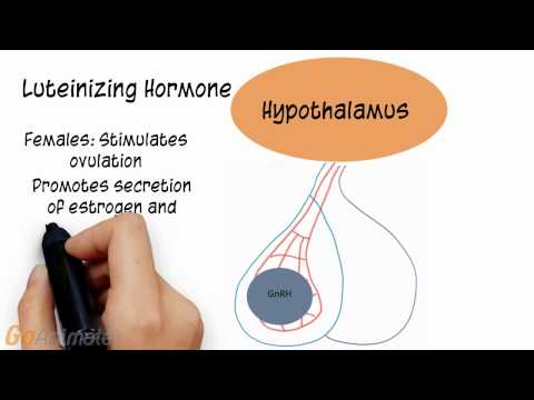 Endocrine System: Follicle Stimulating Hormone, Luteinizing Hormone, Prolactin (v2.0)