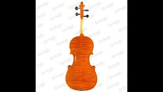 Professional Violin Sound Sample