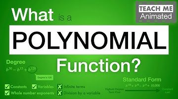 What is a POLYNOMIAL FUNCTION? (and Examples of it) | Animated Introduction to Polynomials (Part 2)