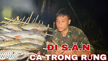 72H NGƯỢC DÒNG SUỐI ĐI SĂN CÁ CHÀY HOANG DÃ TRONG RỪNG SÂU !