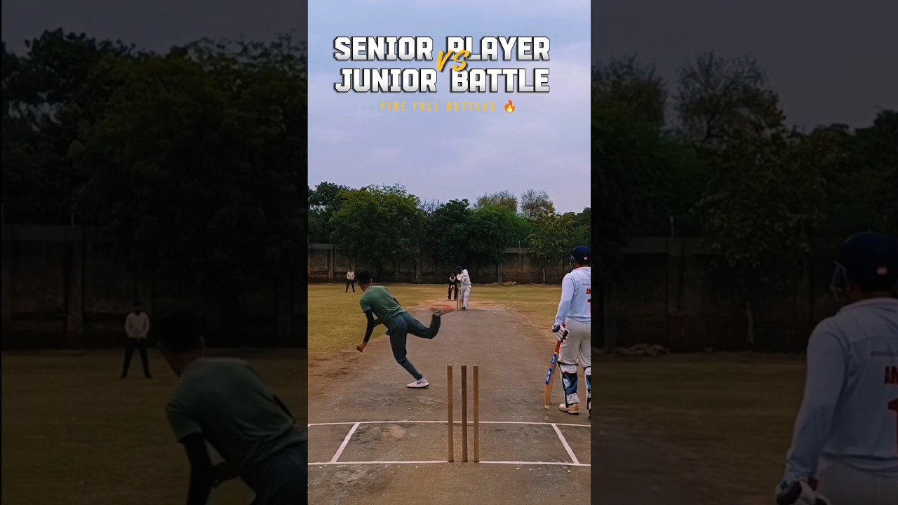 Senior Vs Junior Player Batsman♥️🏏♥️#shortvideo #shortsvideo #cricket # ...