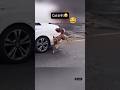 angry and funny cats video 2025 #catlovers #cat #cutecats #catvideos #funnycats #funniestanimals