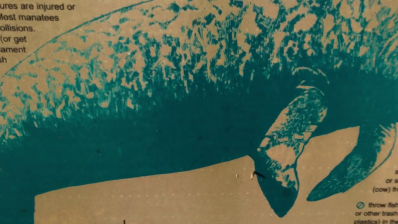 Boaters park Dania cut off Canal YouTube