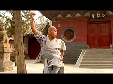 Shaolin Kung Fu Impact Strategy – Da Pao Quan (Big Power Form) | Monk Shi Yan Lu