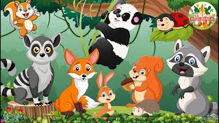 Lovely Animal Sounds In 30 Minutes: Rabbit, Panda, Lemur, Bat, Raccoon, Fox- Cute Little Animals