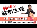【秒速ナース】8章 体の支持と運動 1骨・関節【解剖生理-授業動画】