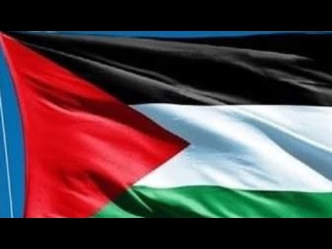 حل بنك الجزء الثاني مادة نباتات طبية وعطرية د أحمد نظمى