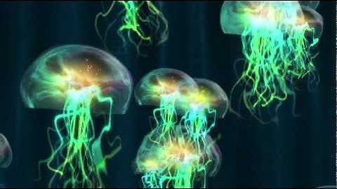 Jellyfish made in After Effects