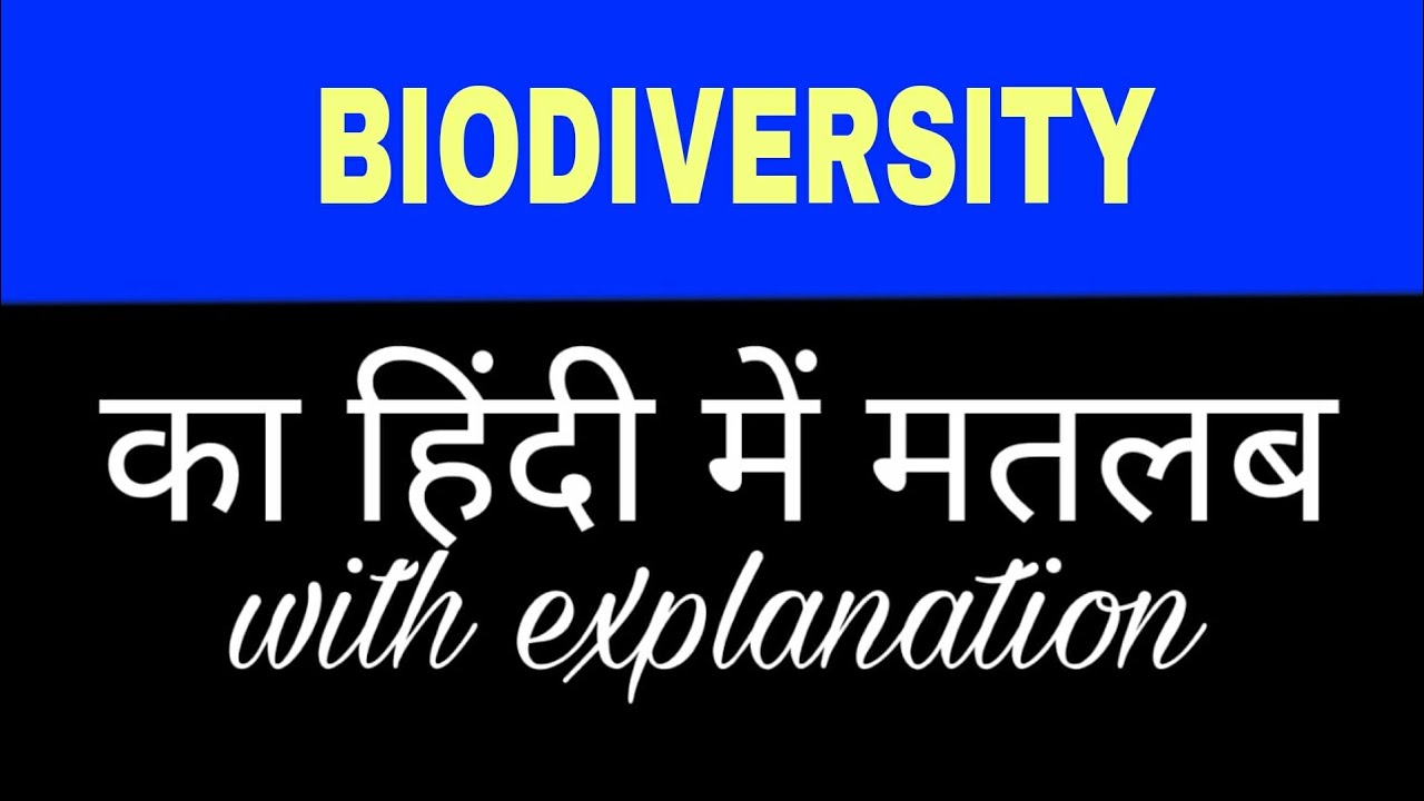 essay on biodiversity in hindi