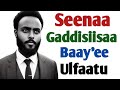 Seenaa Gaddisiissaa Baay Ee Ulfaatu