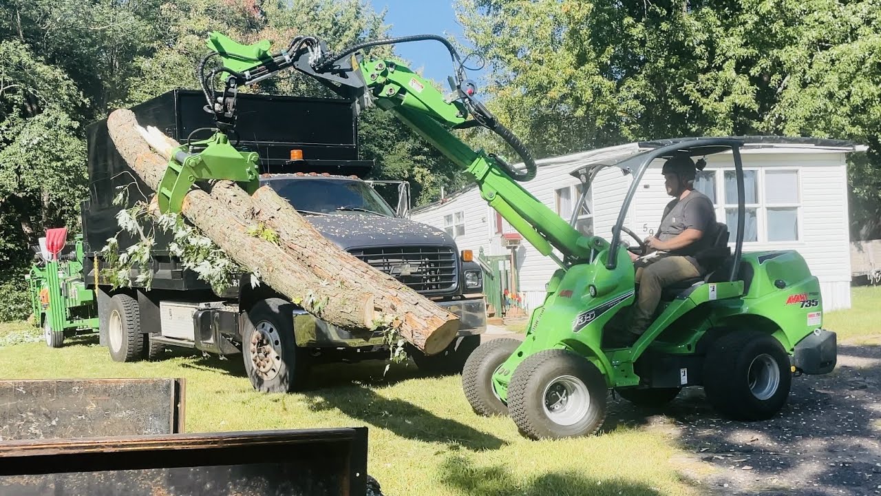 Maple Tree Removal - A Great Way to Start the Day - YouTube