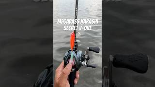 Download Lagu Megabass Karashi Respect Series 79 in Secret V-Ore #megabass #bassfishing #fishing #largemouthbass MP3