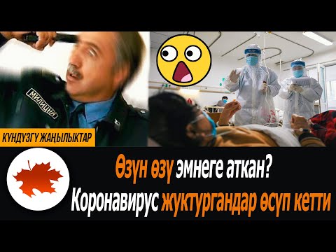 Video: Вирус өзүн өзү репликациялайбы?