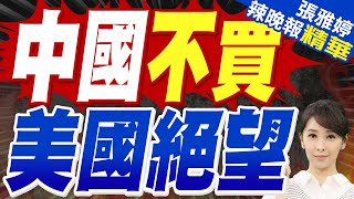 農產品迎豐收季 美國農民卻絕望喊話:中國不買了｜中國不買 美國絕望｜苑舉正.謝寒冰.黃敬平深度剖析?【張雅婷辣晚報】精華版  @中天新聞CtiNews