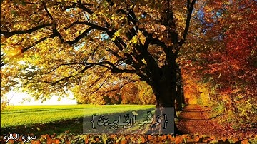 {وبشر الصابرين الذين إذا أصابتهم مصيبة قالوا إنا لله وإنا إليه راجعون } سورة البقرة | اسلام صبحي