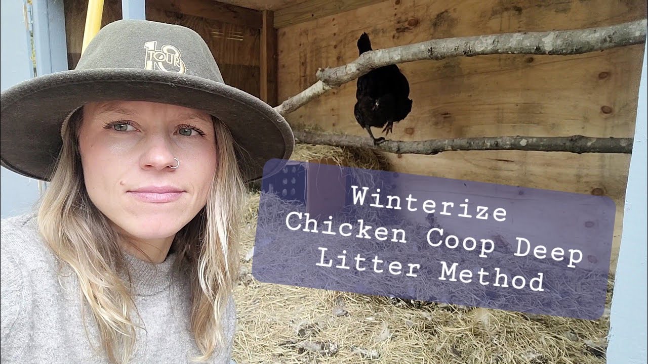 How to Winterize Chicken Coop **Deep Litter Method** chickencoop YouTube