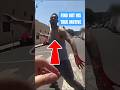 Suspect Shoots at Cops Then Gets Tased!