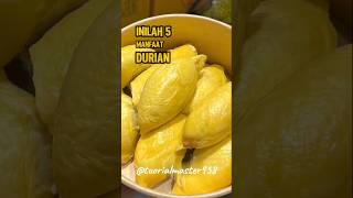5 Manfaat Buah Durian #manfaatbuah #buahdurian #shorts