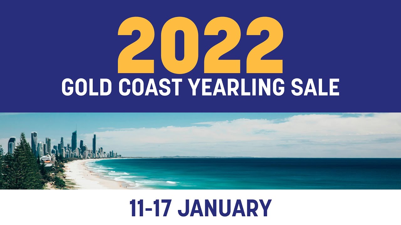 2022 Magic Millions Gold Coast Yearling Sale Day 5 YouTube