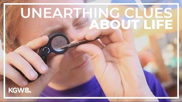 Oldest known projectile points uncovered by OSU archaeologists