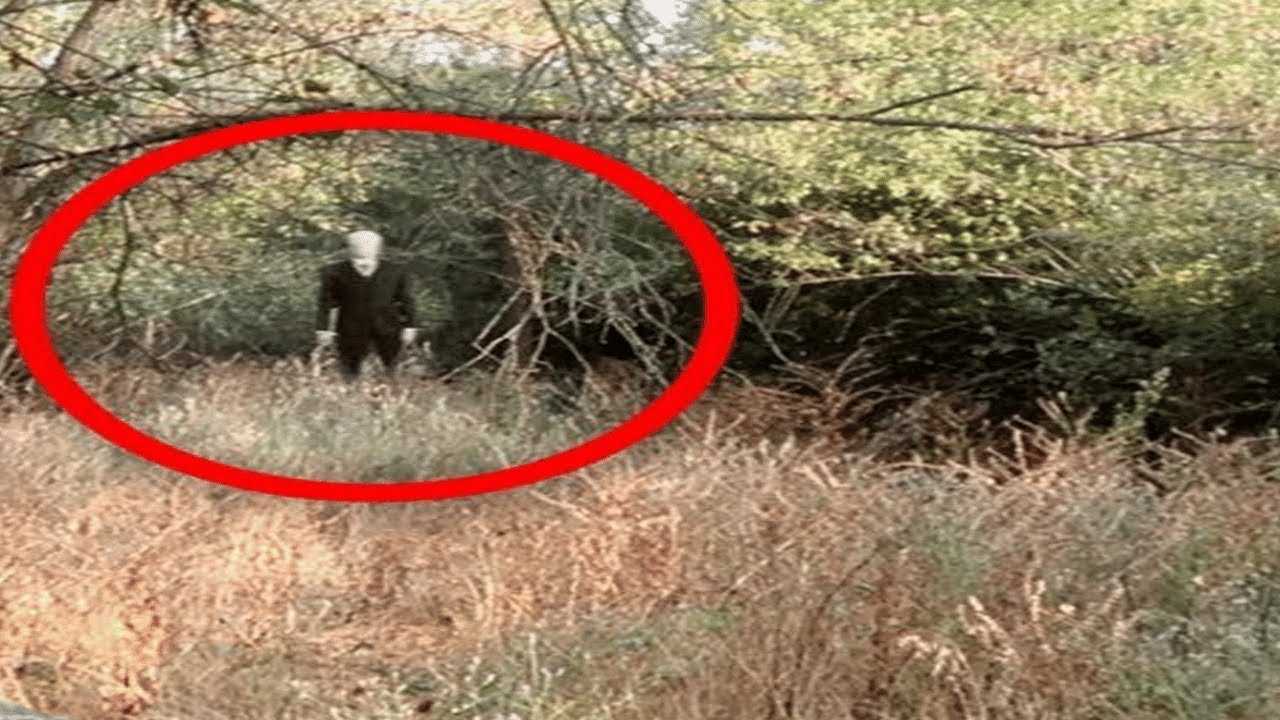 Nu pot să cred că mai crede lumea în Slenderman în 2024 bruh