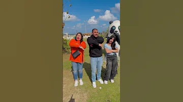 حيوانات ما احلي ها الحيوانات 