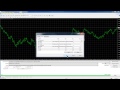 Expert4x, No Stop, hedged, Grid trading EA support webinar