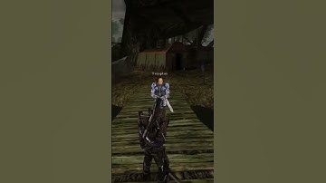 Fighting Templar God - Gothic 1