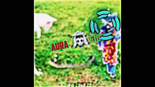 Cat with ultra instinct 😱#dragonball #goku #amv #shorts #trollface
