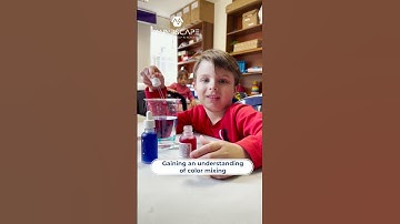 Gaining an understanding of color mixing #mindscape #lebanon #robotics #knowledge #science #shorts