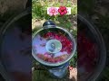 دروستکردنی ئاوی گوڵ زۆر بە ئاسانی