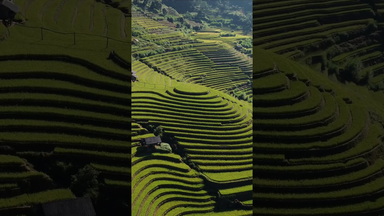 Mam Xoi, Mu Cang Chai - Vietnam’s Best Rice Terraces