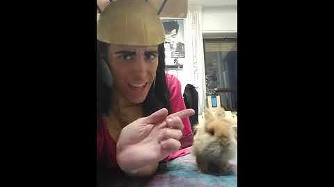 Kuzco Cosplay and the lama ( EHM... THE RABBIT )