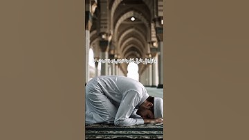ففروا إلى الله إني لكم منه نذير مبين# سورة الذاريات# فارس عباد