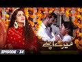 Watch Watch Mere Apne Episode 34 | Tonight at 7:00 PM Only On ARY Digital Online In Hd