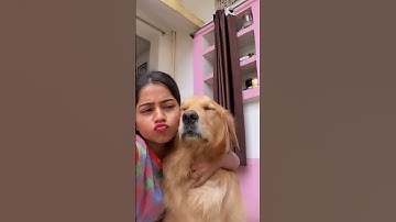 This song is a tribute to my baby panda 🐼 ❤️ #tribute #mydog #mypet #tributesong