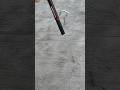 Homemade trap#diy#short