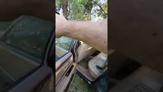 1996 Buick roadmaster interior