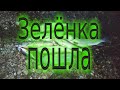 Троллинг в ужасных условиях или когда плывет трава!🌿