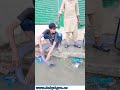 Water Pump | طاقتور پانی کا بہاؤ، بہترین کارکردگی | #WaterSupply #Engine #Performance #FieldWork