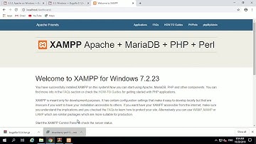 Bugzilla for Windows 10