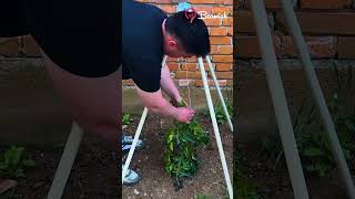 Simple Diy Hacks Using Everyday Items
