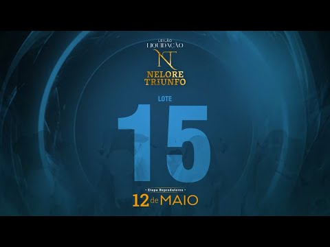 LOTE 15 - MACF 521