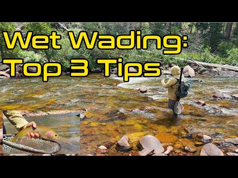Cold Water, Wild Trout & Top 3 Wet Wading Tips
